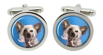 Chinese Crested Dog Cufflinks in Chrome Box