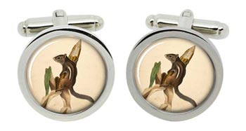 Chipmunk Cufflinks in Chrome Box