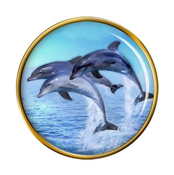 Dolphins Pin Badge
