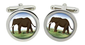Elephant Cufflinks in Chrome Box