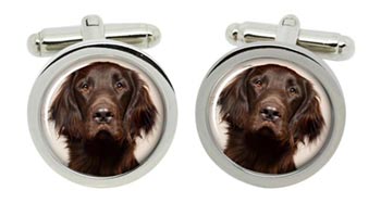 Flat-Coated Retriever Cufflinks in Chrome Box