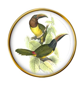 Green Aracari (by Edward Lear) Pin Badge