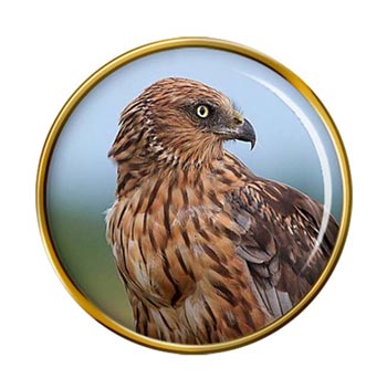 Harrier Bird Pin Badge