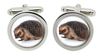 Hedgehog Cufflinks in Chrome Box