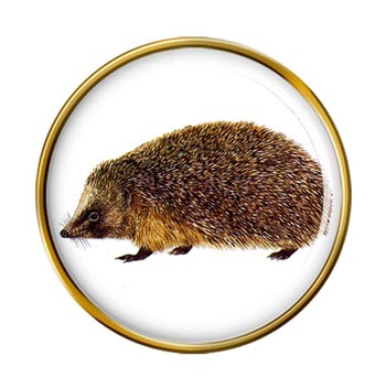 Hedgehog Pin Badge