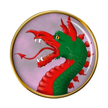 Heraldic Dragon's Head Pin Badge