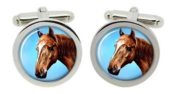 Horse's Portrait Cufflinks in Chrome Box
