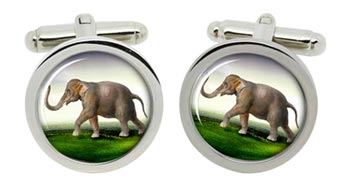 Indian Elephant Cufflinks in Chrome Box