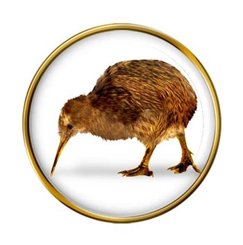 Kiwi Pin Badge