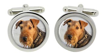 Lakeland Terrier Cufflinks in Chrome Box