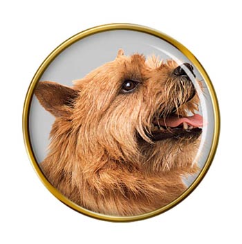 Norwich Terrier Pin Badge