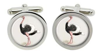 Ostrich Cufflinks in Chrome Box