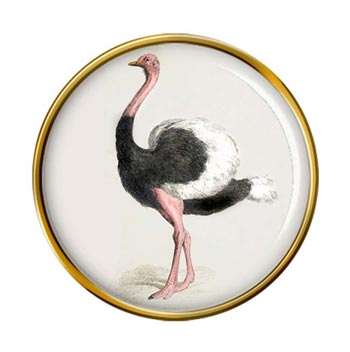 Ostrich Pin Badge