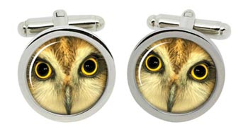 Owl's Face Cufflinks in Chrome Box