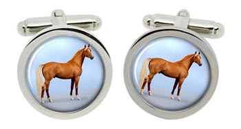 Palomino Horse Cufflinks in Chrome Box