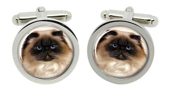 Persian Cat Cufflinks in Chrome Box