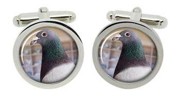 Pigeon Cufflinks in Chrome Box