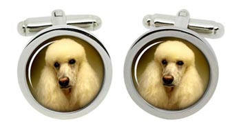 Poodle Cufflinks in Chrome Box