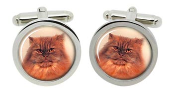Red Tabby Persian Cat Cufflinks in Chrome Box