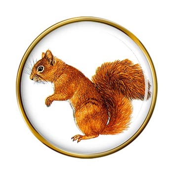 Red Squirrel Pin Badge
