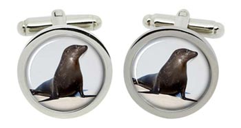 Sea Lion Cufflinks in Chrome Box