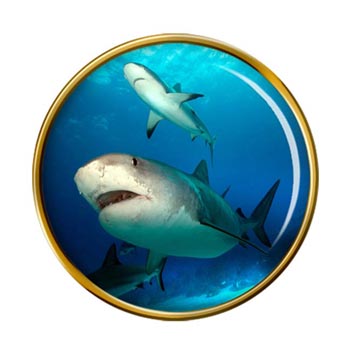 Shark Pin Badge