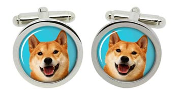 Shiba Inu Dog Cufflinks in Chrome Box