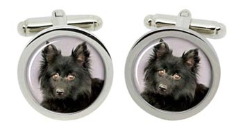 Schipperke Dog Cufflinks in Chrome Box