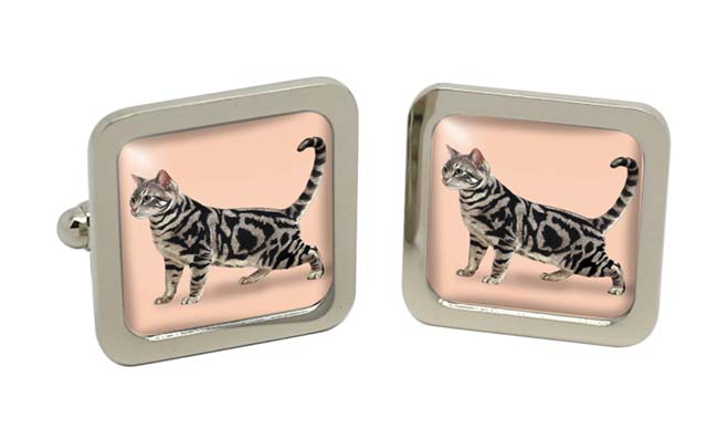 Shorthaired Cat Square Cufflinks in Chrome Box
