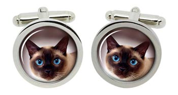 Siamese Cat Cufflinks in Chrome Box