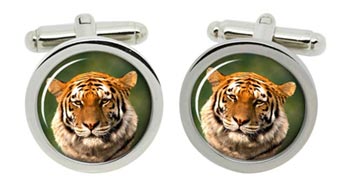 Siberian Tiger Cufflinks in Chrome Box