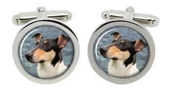 Smooth Collie Cufflinks in Chrome Box