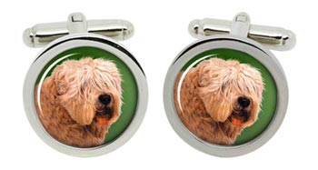Soft Coated Wheaten Terrier Cufflinks in Chrome Box