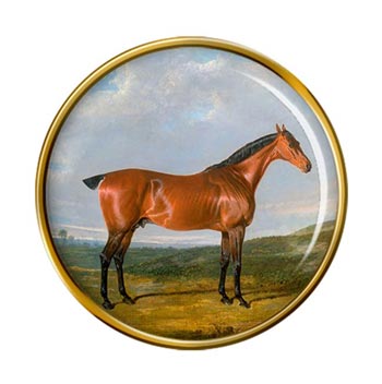 Thyrsis a hunter horse by Herring Pin Badge