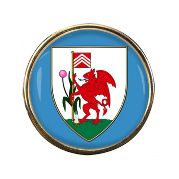 Cardiff Round Pin Badge