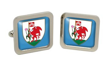 Cardiff (Wales) Square Cufflinks in Chrome Box