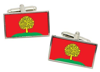 Lipetsk Oblast (Russia) Flag Cufflinks in Chrome Box