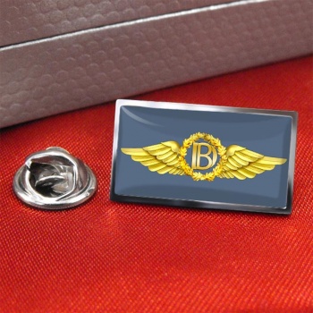 Dental Branch (Royal Air Force) Rectangle Pin Badge