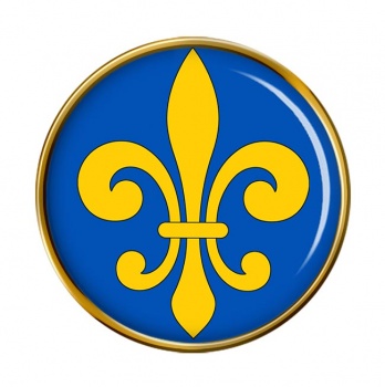 Fleur-de-lis Round Pin Badge