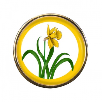 Glamorganshire Round Pin Badge