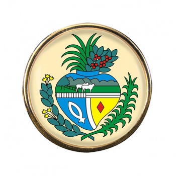 Goias (Brazil) Round Pin Badge