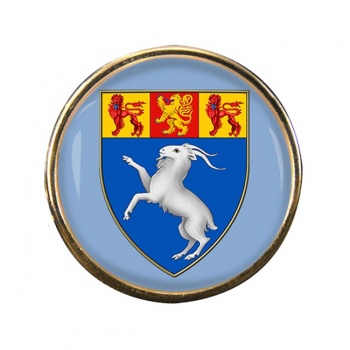 Gwynedd Round Pin Badge