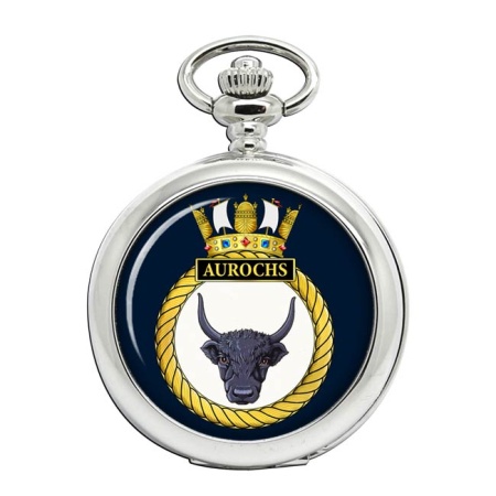 HMS Aurochs, Royal Navy Pocket Watch