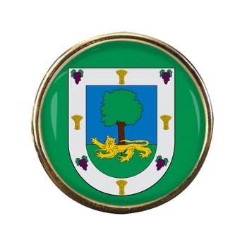 La Florida (Chile) Round Pin Badge