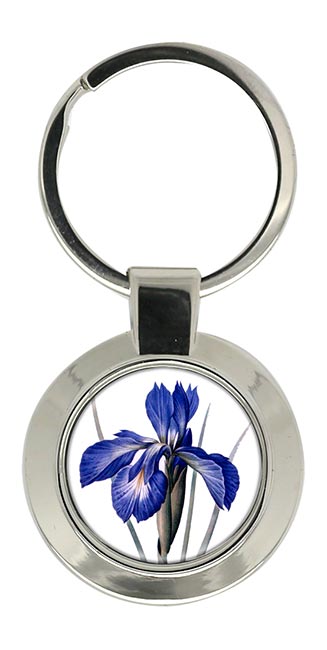 Blue Iris Chrome Key Ring