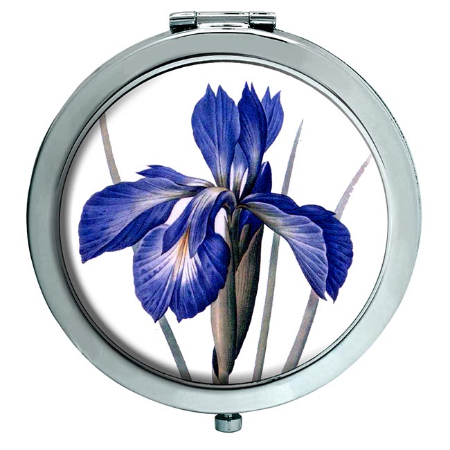 Blue Iris Chrome Mirror