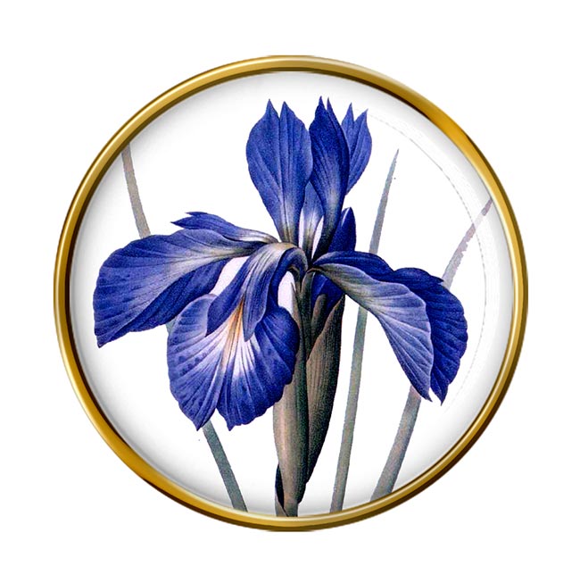 Blue Iris Round Pin Badge