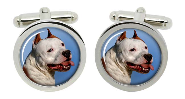 American Staffordshire Terrier Cufflinks in Chrome Box