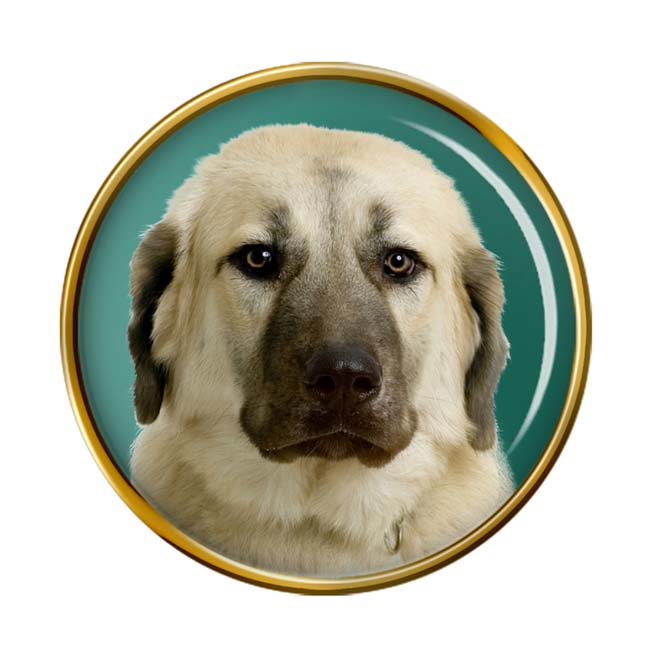 Anatolian Shepherd Dog Pin Badge