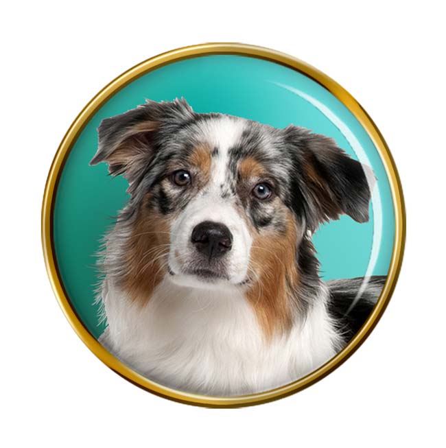 Australian Shepherd Dog Pin Badge
